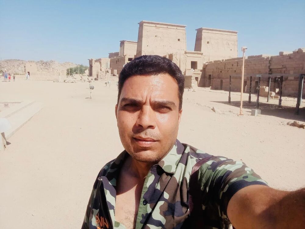 ���� 56386955 ������� ����, 43 ����, ���� ���������� � ������