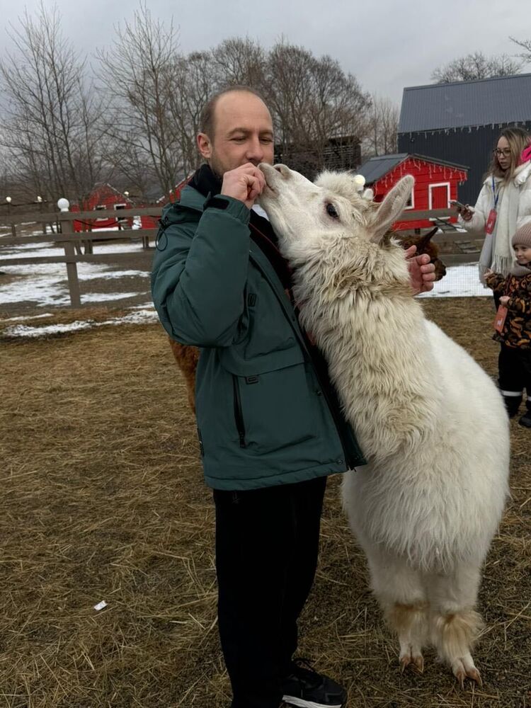 ���������� �����������, ���� ������� �����, 39 ���, ������������ ��� ������, ����� � ���������, c�������� ���������, ���������