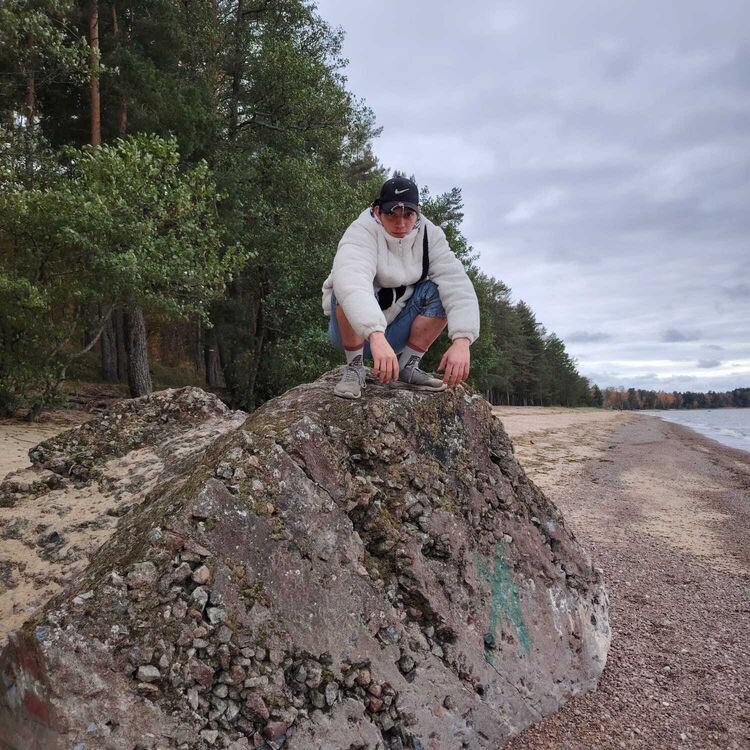  54031775  , 18 ,    -