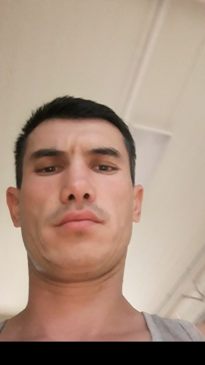  48575365  , 31 ,    