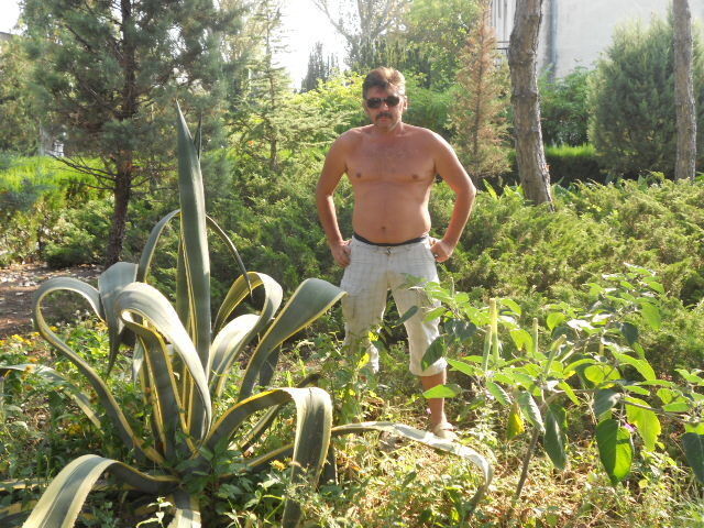  ,   , 51 ,   