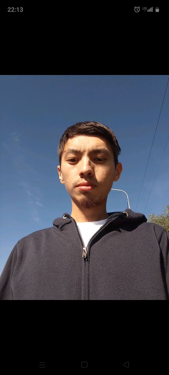  51217025  , 31 ,    