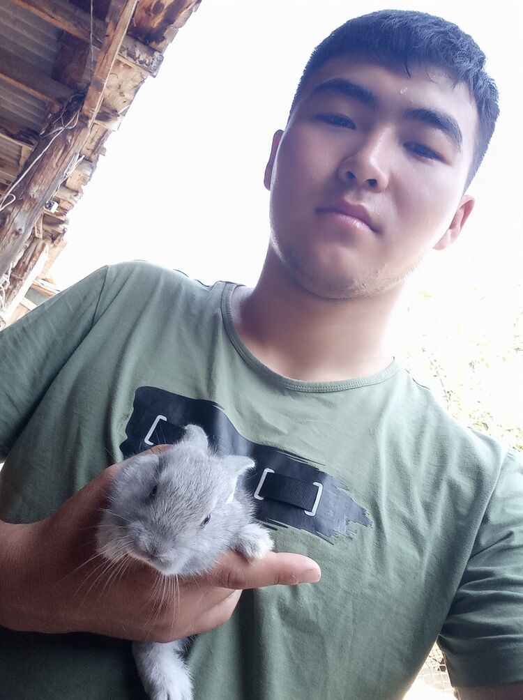 ���������� ��, ���� ������� ��������, 26 ���, ������������ ��� ������, ����� � ���������, c�������� ���������