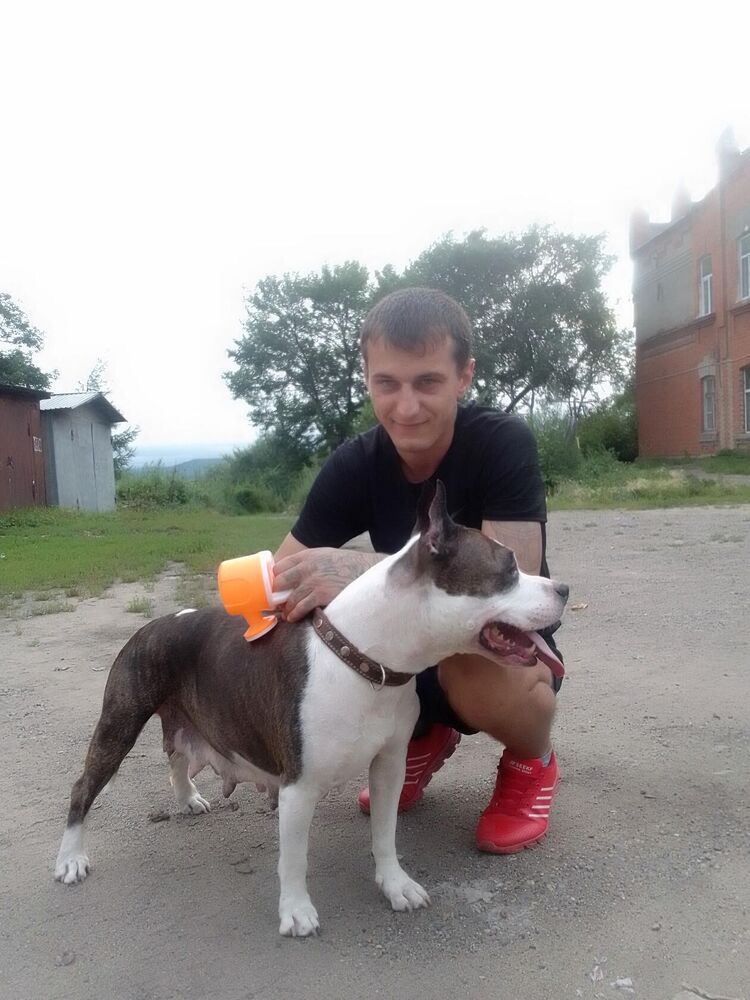 ���� 37798645 ������� ����, 29 ���, ���� ���������� � ������������