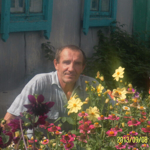  -,   , 61 ,   ,   , c 