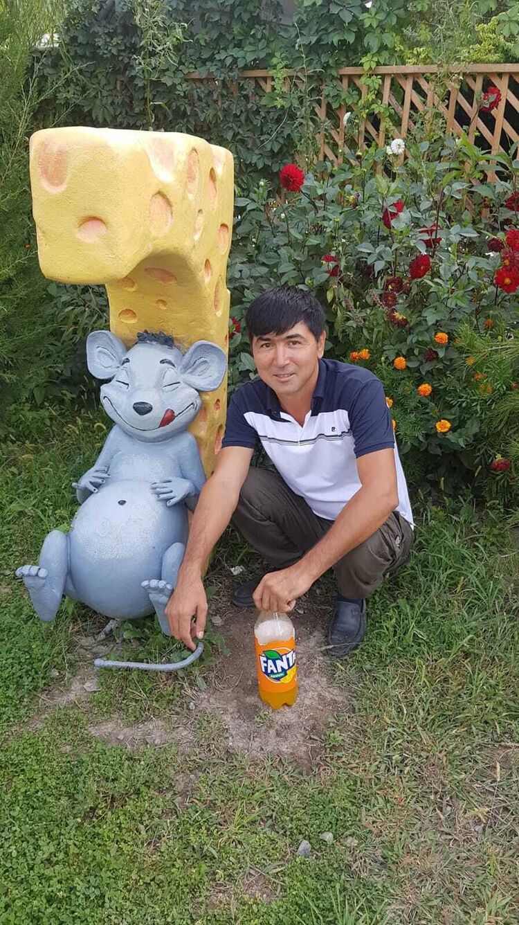  52850515  , 46 ,    