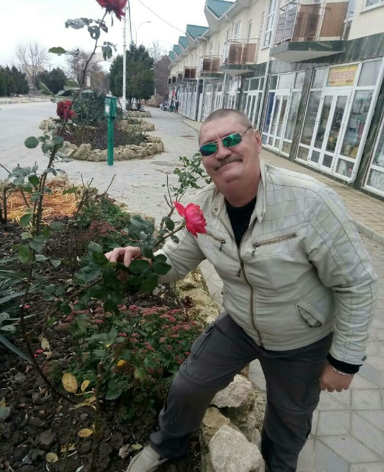  35315275  , 56 ,    
