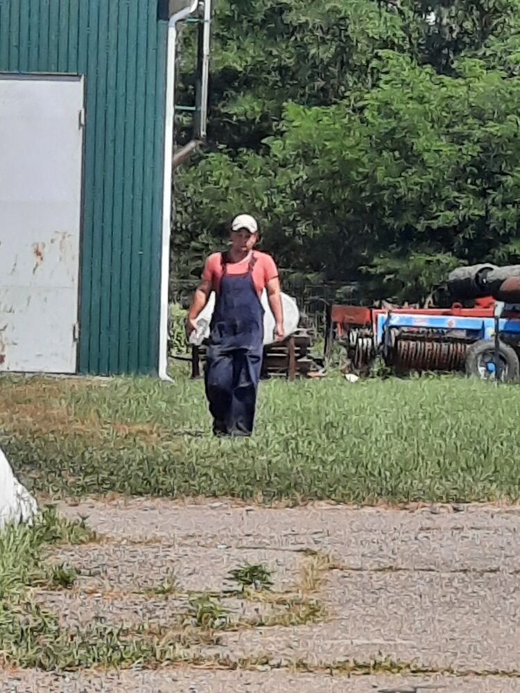 ���� 23379745 ������� ����, 30 ���, ���� ���������� � ����������