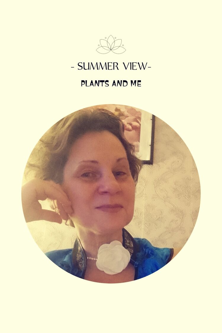  ,   , 47 ,   