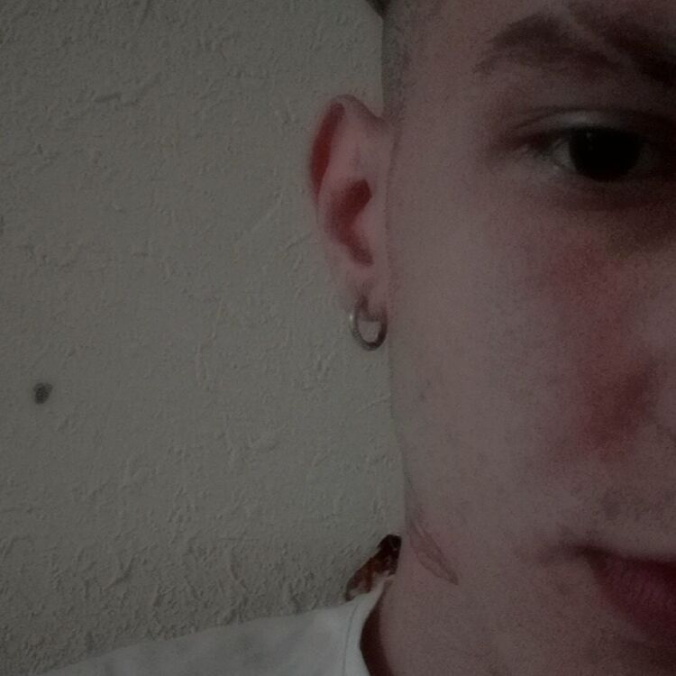  43063275  , 21 ,    