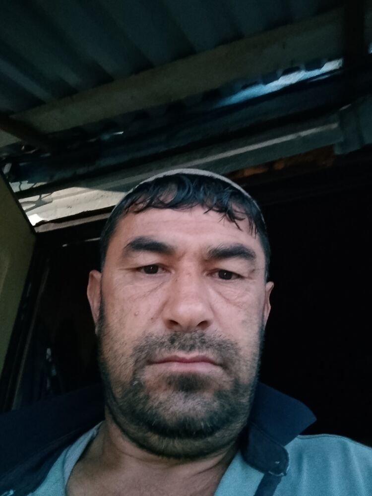  45547845  , 37 ,    
