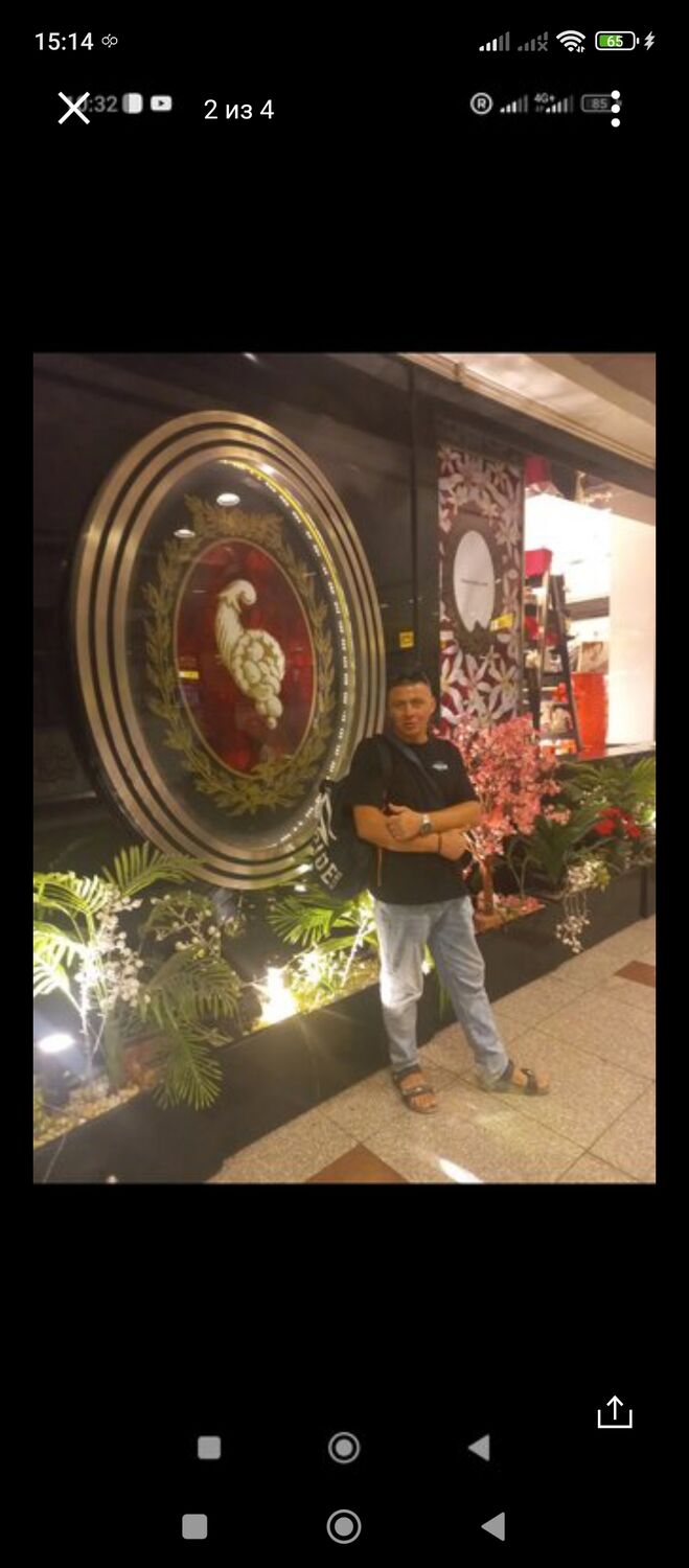  41247965  , 41 ,    