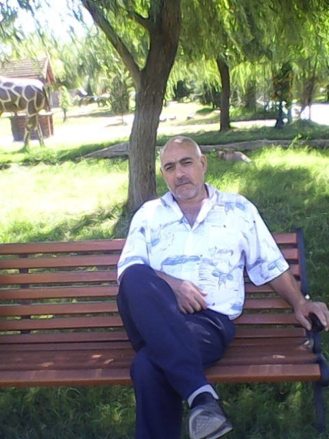  15838625  Vahid, 53 ,    