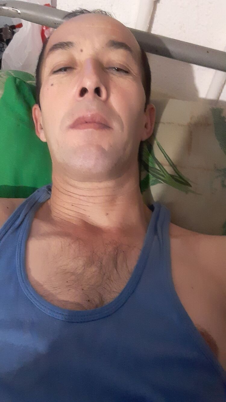 ���� 31396385 ������� ����, 48 ���, ���� ���������� � ������