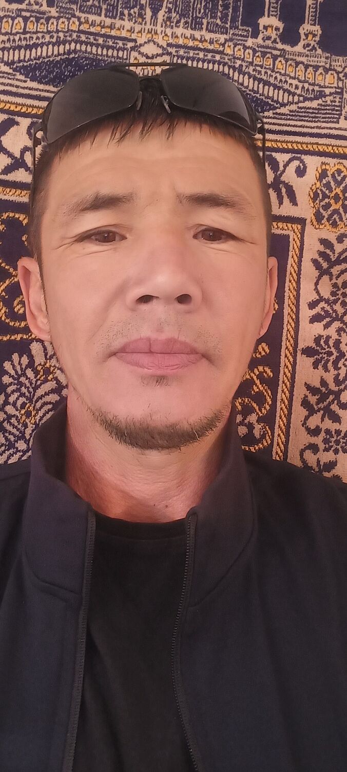  29163585  , 43 ,    