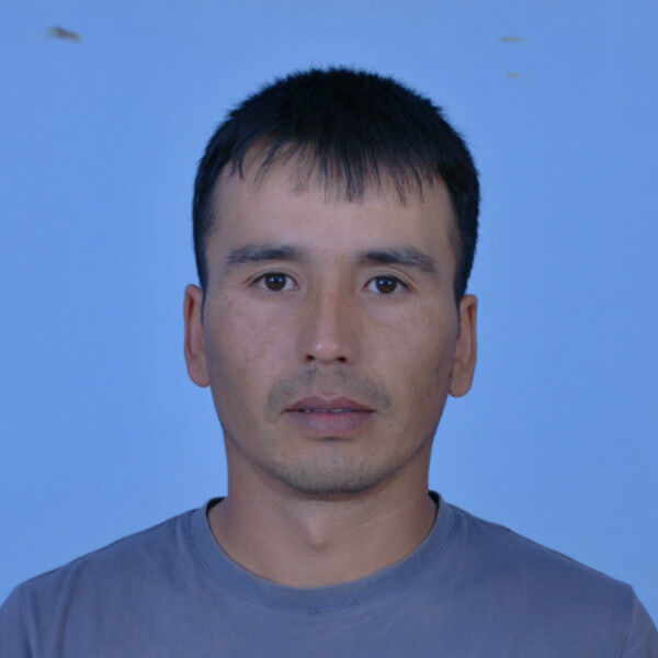  4904115  Roma, 44 ,    