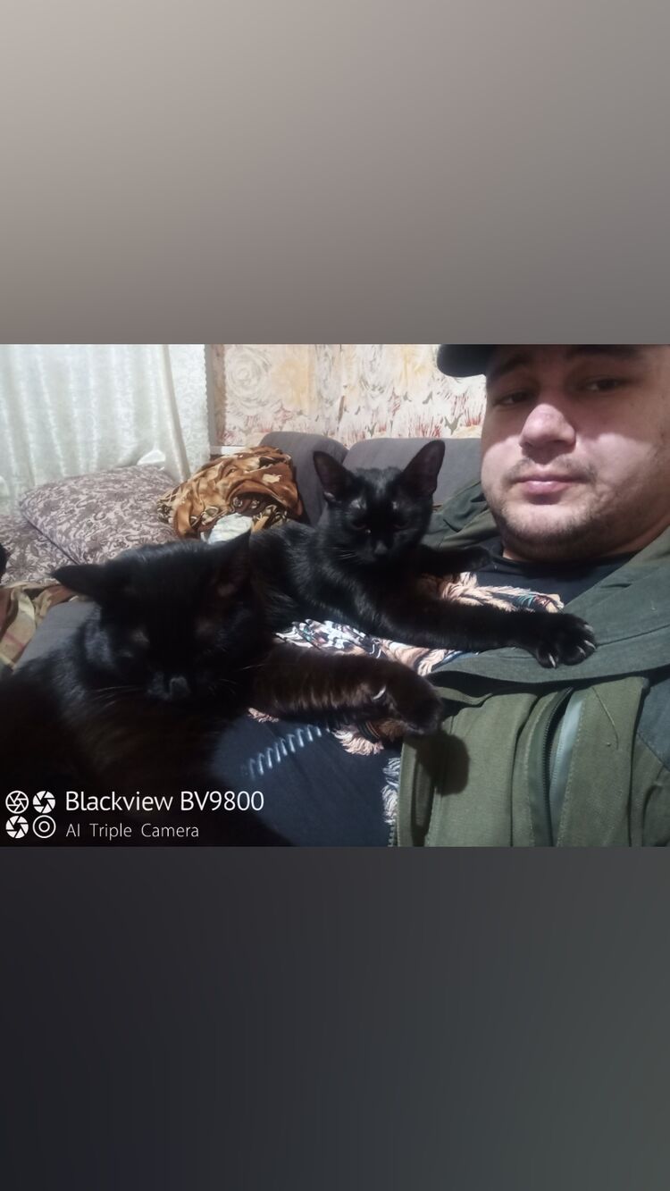 ���������� ����������, ���� ������� ������, 31 ���, ������������ ��� c�������� ���������, ���������