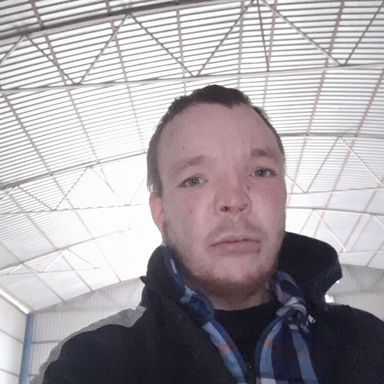 ,   Arseniy, 37 ,     , c 