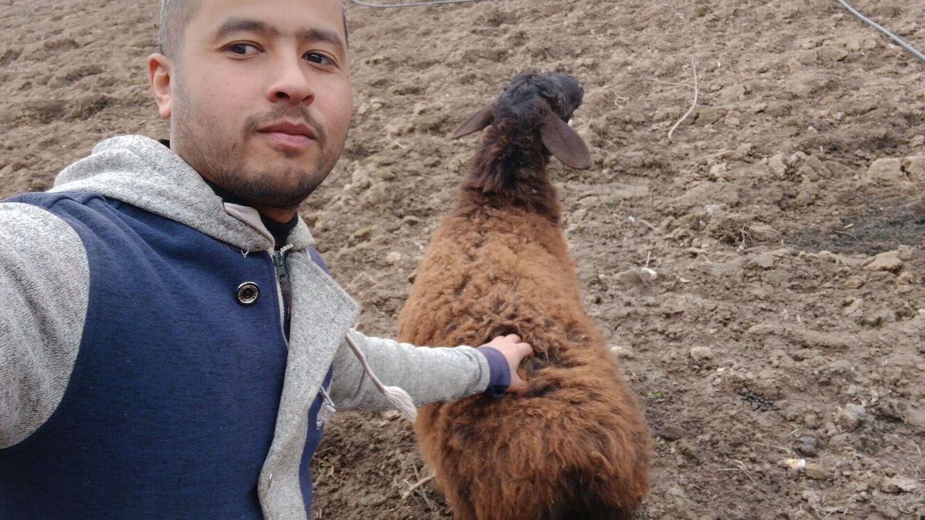 ���� 55001785 ������� ���������, 34 ����, ���� ���������� � �����