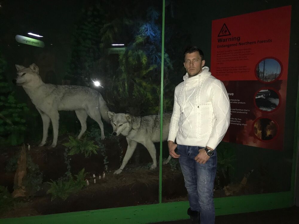 ���������� ����, ���� ������� Victor, 38 ���, ������������ ��� ������, ����� � ���������, c�������� ���������