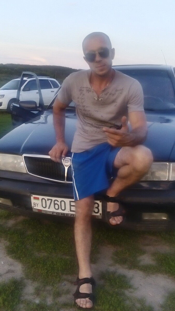  8031385  , 44 ,    