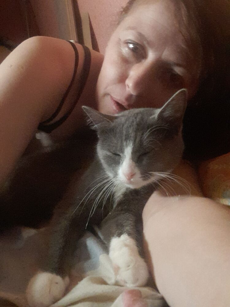 ���������� ������, ���� ������� �������, 36 ���, ������������ ��� ������, ����� � ���������