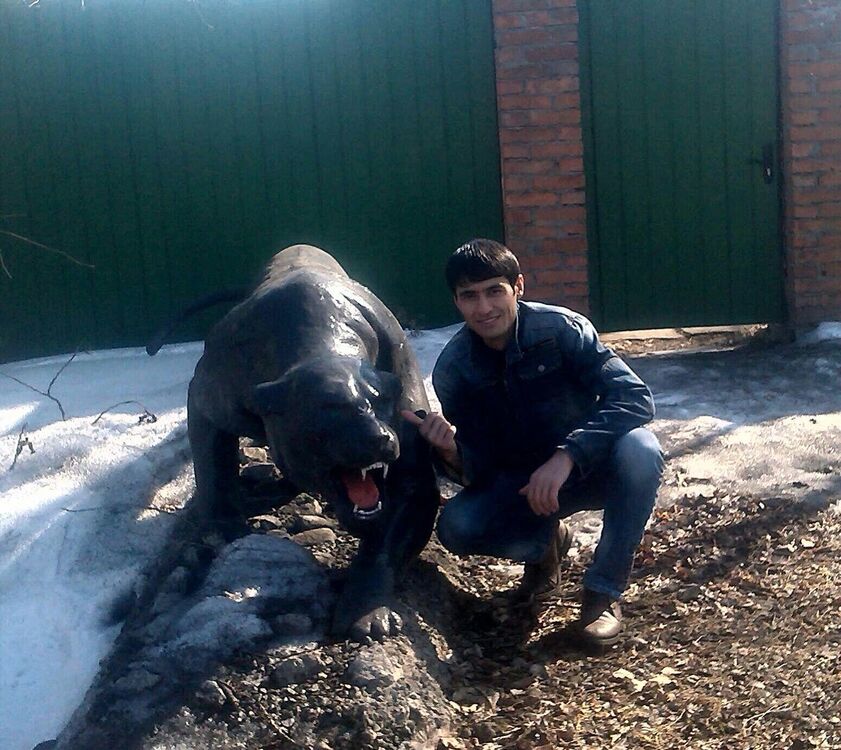 ���������� ������, ���� ������� Davron, 36 ���, ������������ ��� ������, ����� � ���������, c�������� ���������