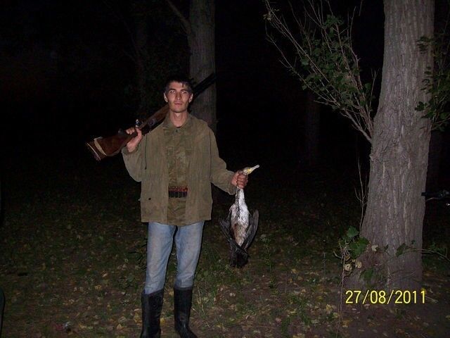 8593255  Mircea, 37 ,    -