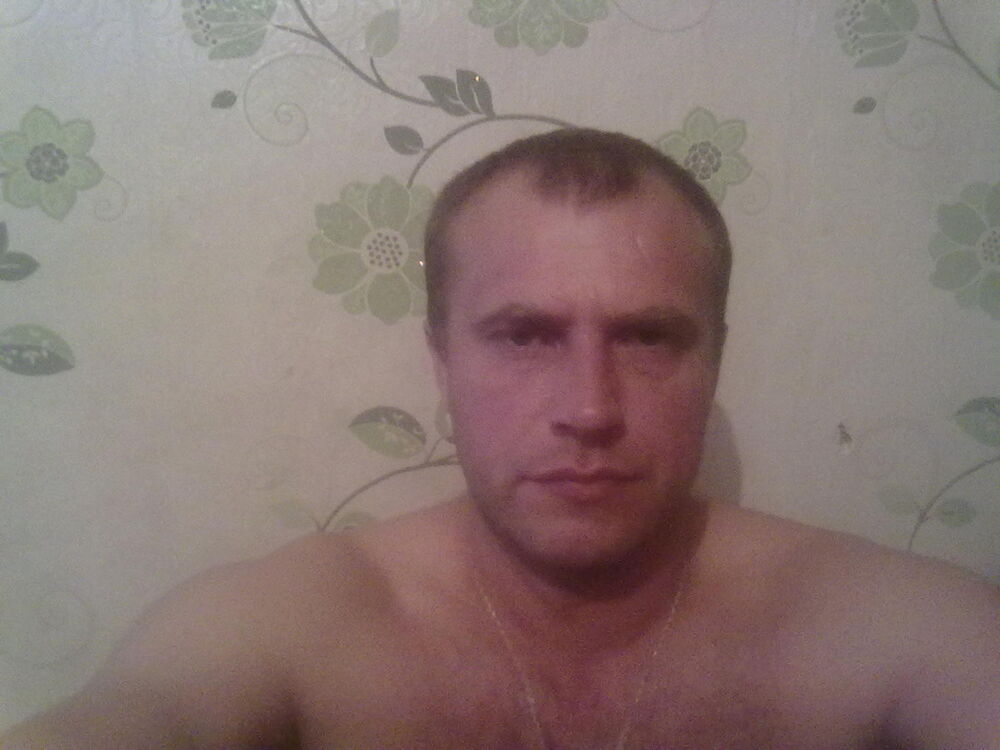  8182625  , 46 ,    
