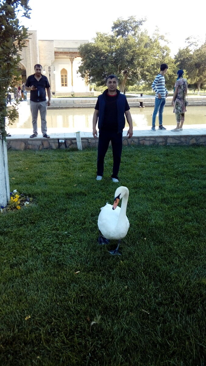 ���� 19453415 ������� ����, 46 ���, ���� ���������� � ������