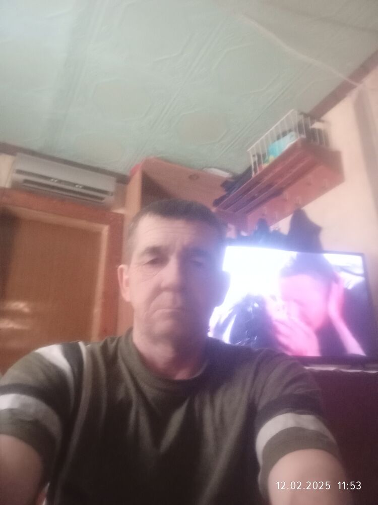  49868185  , 51 ,    -