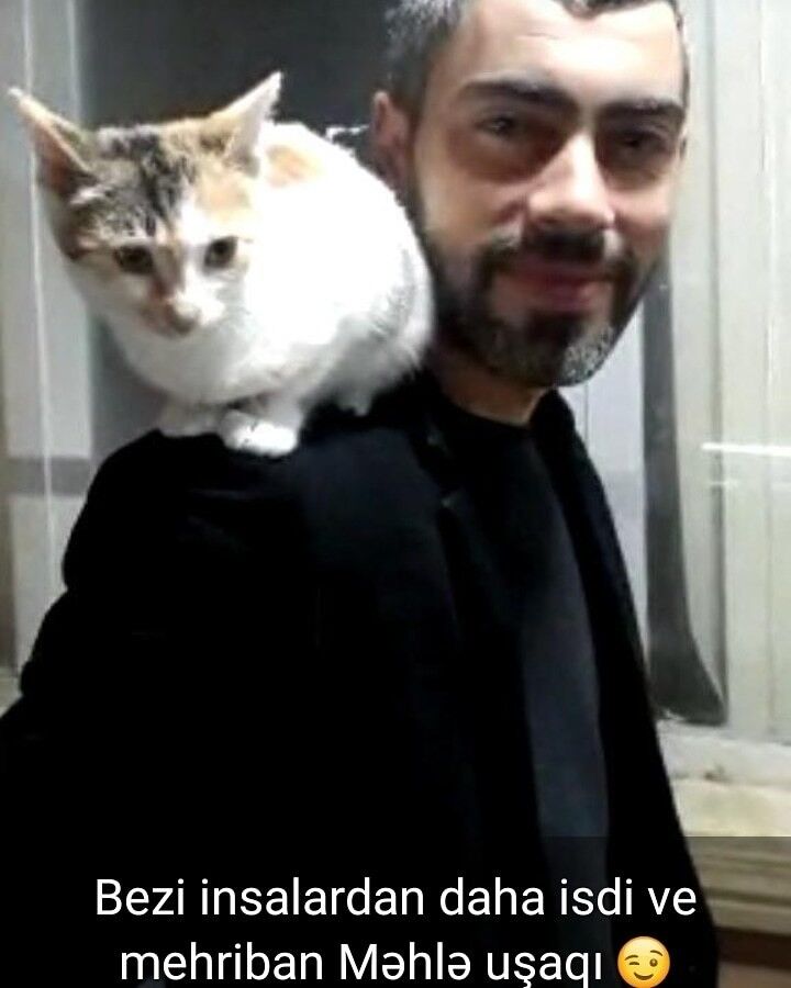 ���������� ����, ���� ������� Roma, 42 ����, ������������ ��� ������, ����� � ���������, c�������� ���������, ���������