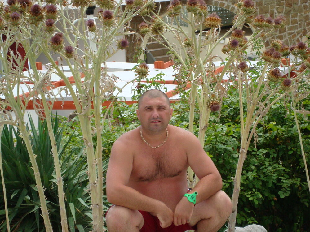   ,   Alex, 47 ,     , c 