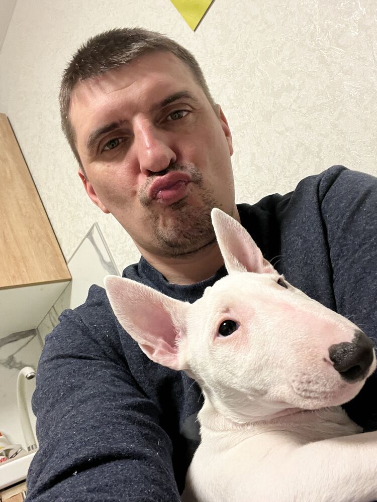 ���������� ������, ���� ������� ˸��, 41 ���, ������������ ��� ������, ����� � ���������, c�������� ���������