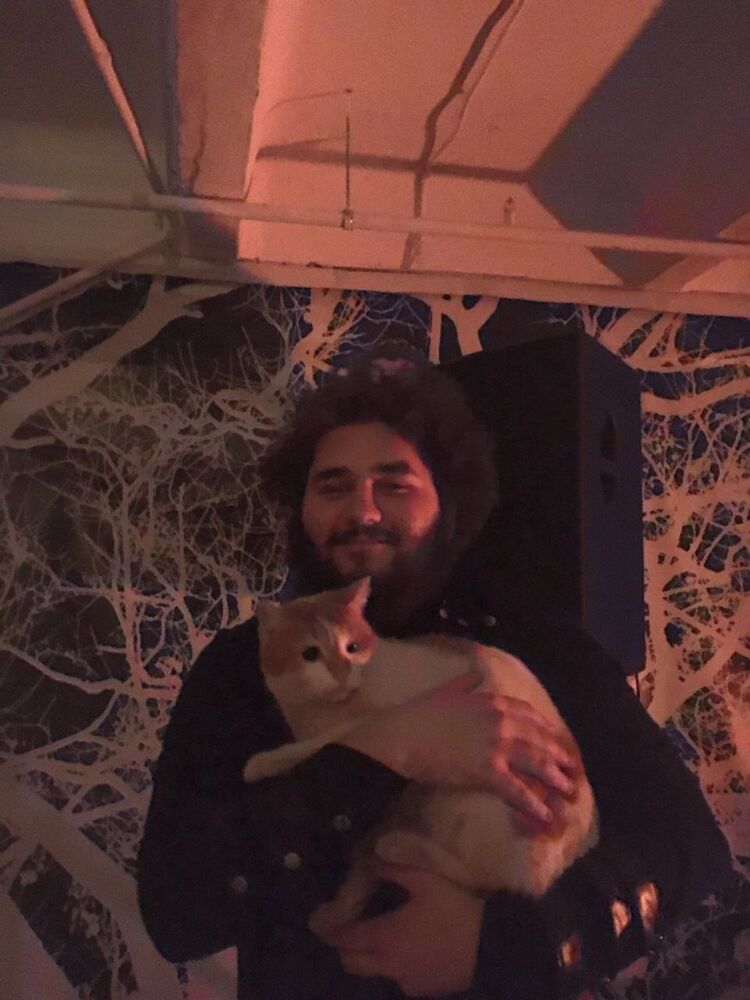 ���������� ������������, ���� ����� �������, 24 ����, ������������ ��� ������, ����� � ���������, c�������� ���������