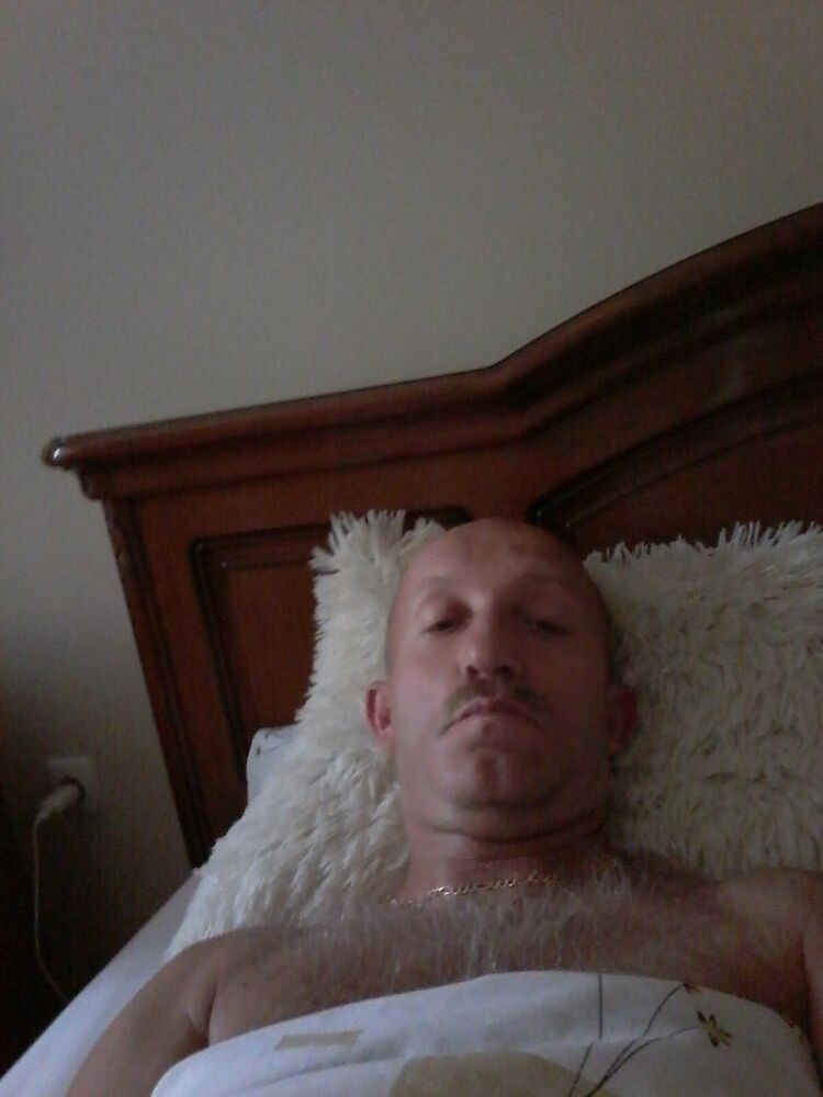  17353735  , 51 ,    
