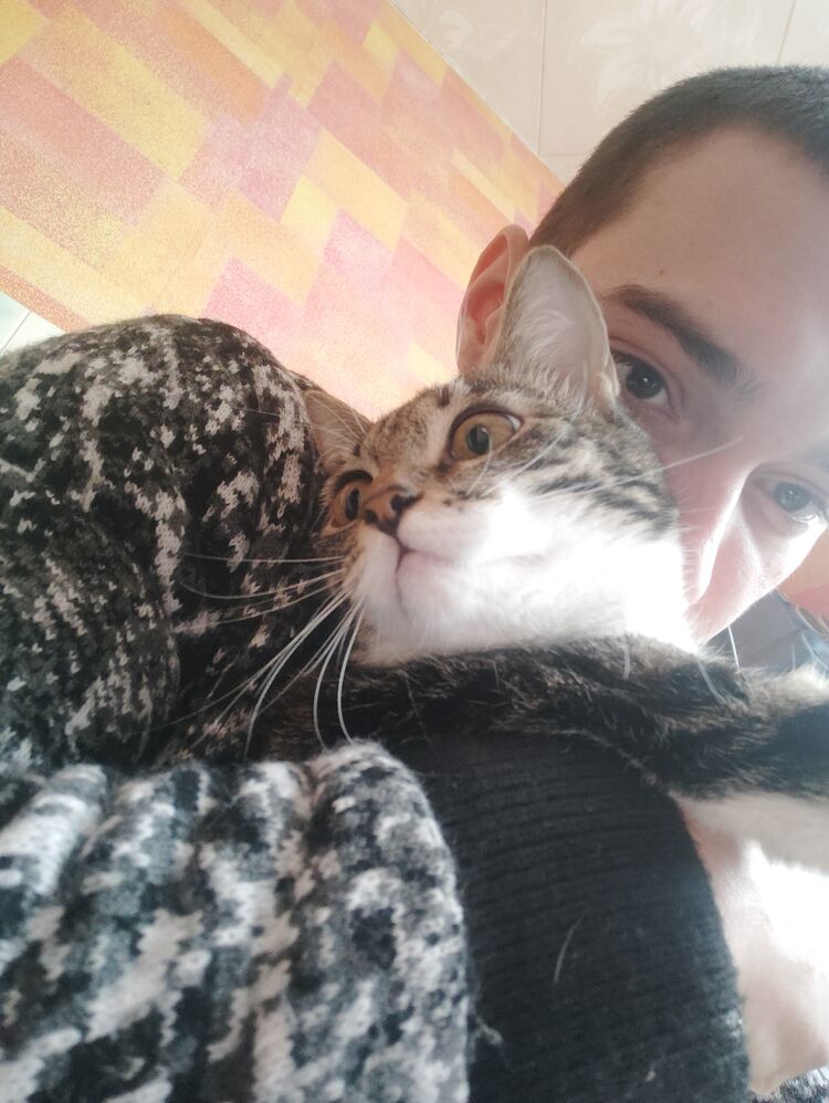 ���������� ����������, ���� ����� ������, 23 ����, ������������ ��� ����� � ���������, c�������� ���������