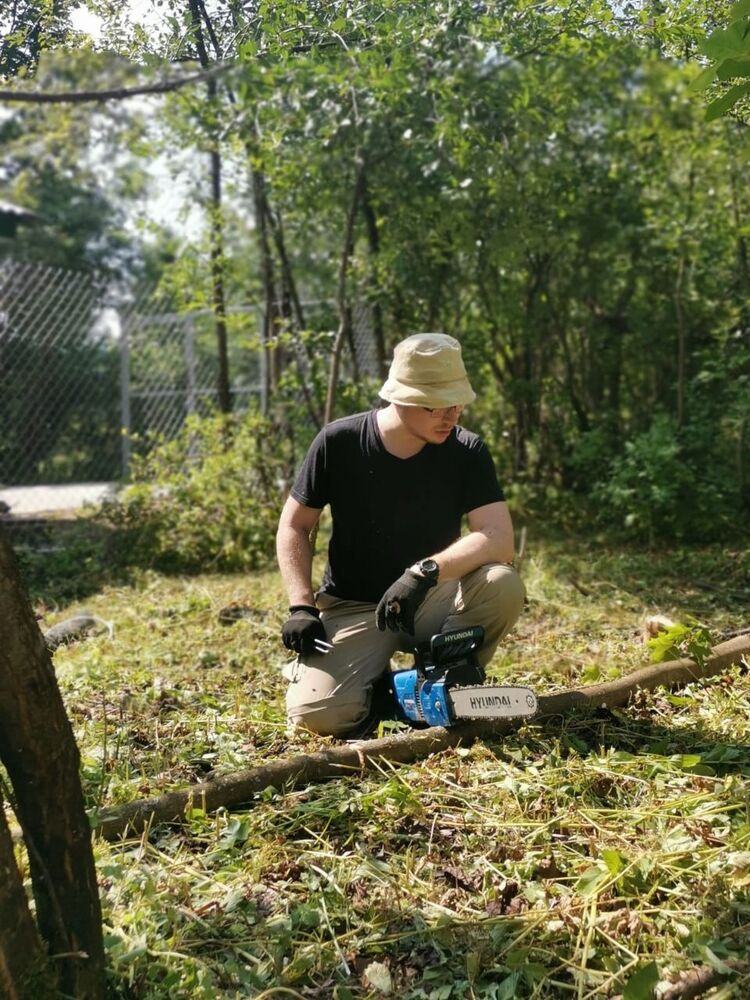 ���������� ������, ���� ������� ����, 31 ���, ������������ ��� ����� � ���������, c�������� ���������