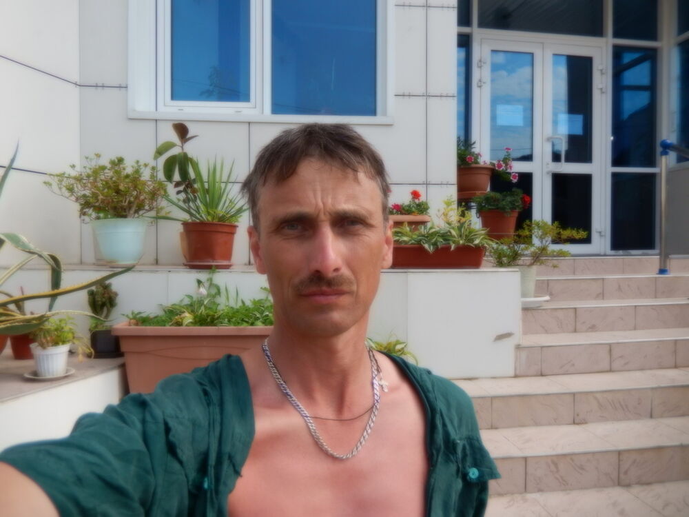  17679455  , 58 ,    