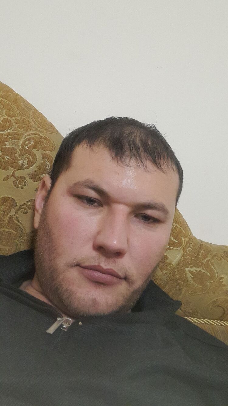  31933525  , 33 ,    