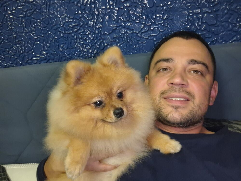 ���������� ������, ���� ������� �������, 41 ���, ������������ ��� ���������