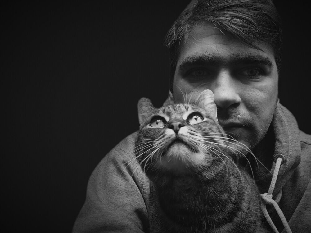 ���� 21867195 ������� ����, 38 ���, ���� ���������� � �����������