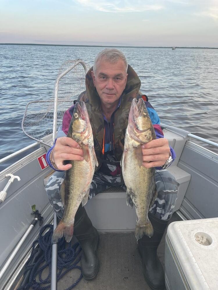 ���� 38453405 ������� �����, 54 ����, ���� ���������� � �����-����������