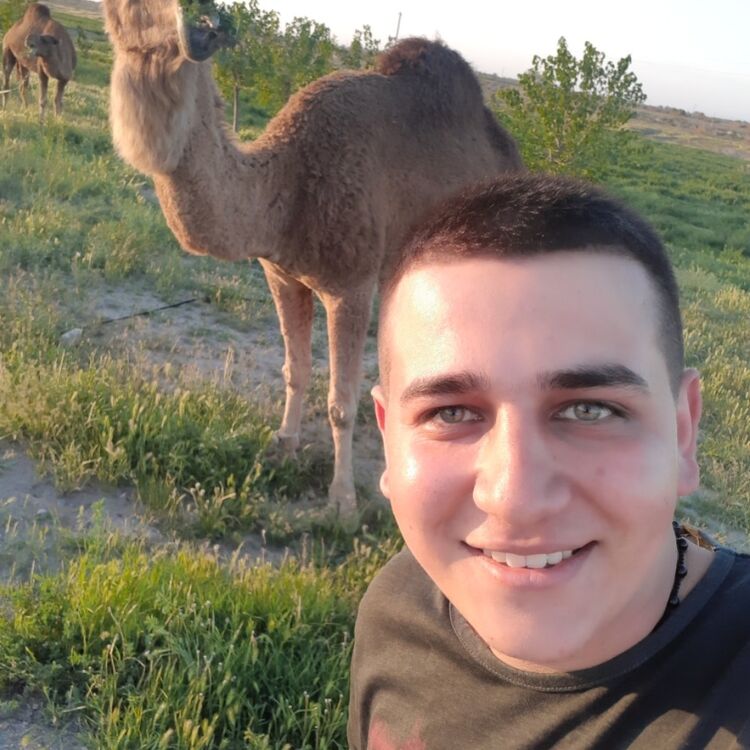 ���������� ������, ���� ������� ����, 31 ���, ������������ ��� ������, ����� � ���������, c�������� ���������