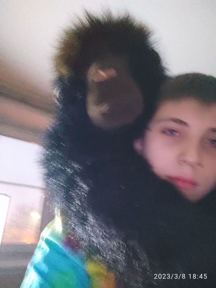 ���� 43183165 ����� ������, 21 ���, ���� ���������� � ������