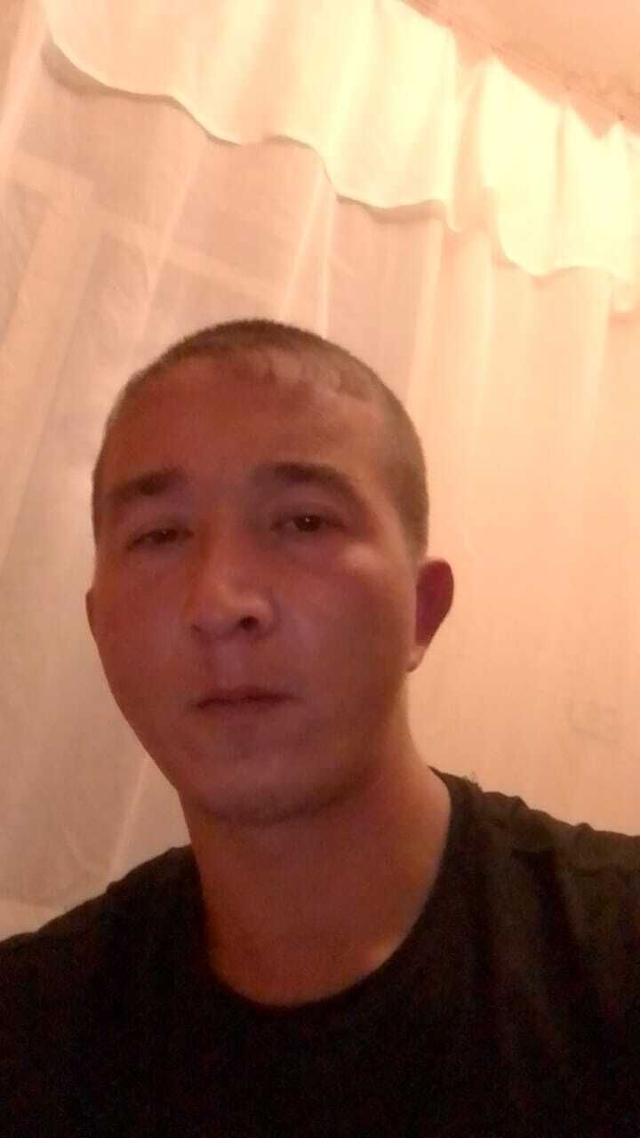  45135245  , 31 ,    