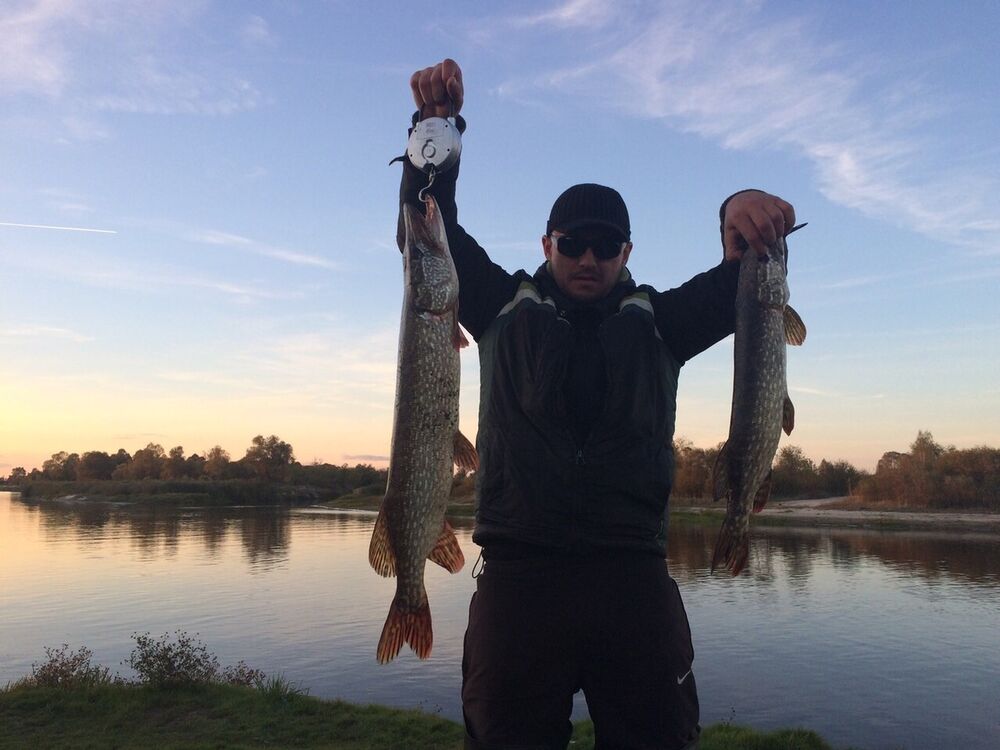 ���������� �����, ���� ������� ����, 43 ����, ������������ ��� ������, ����� � ���������, c�������� ���������