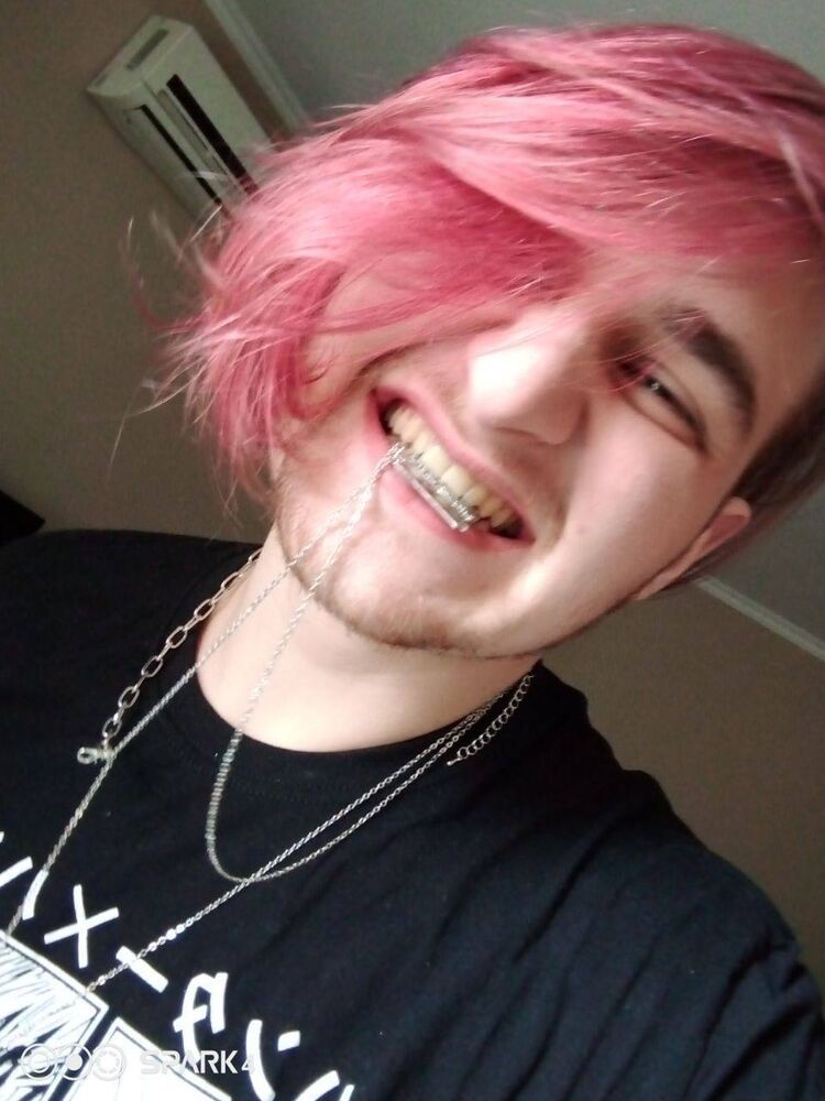  33808815  , 24 ,    