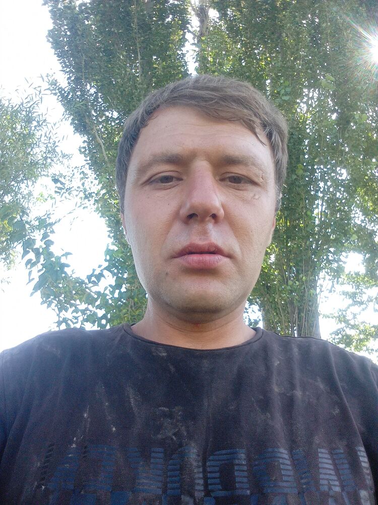  52318635  , 40 ,    