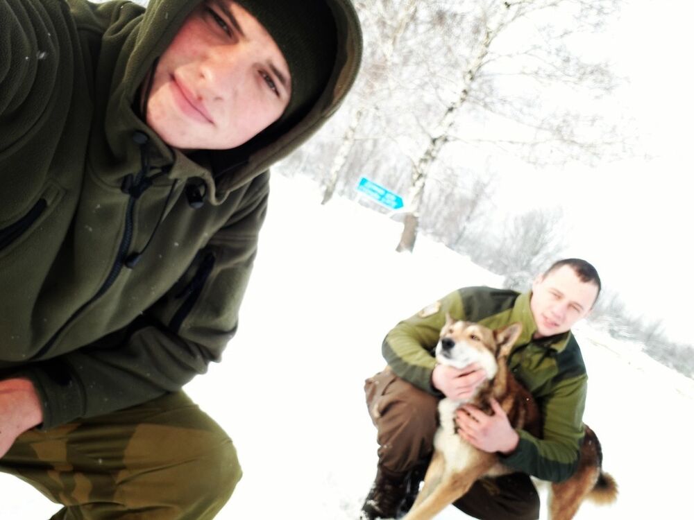 ���� 11715155 ������� �������, 29 ���, ���� ���������� � �����������